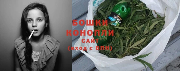 PSILOCYBIN Верея
