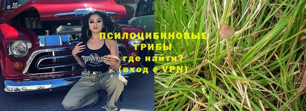 PSILOCYBIN Верея