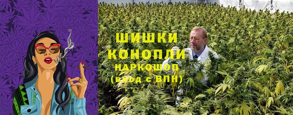 spice Верхний Тагил