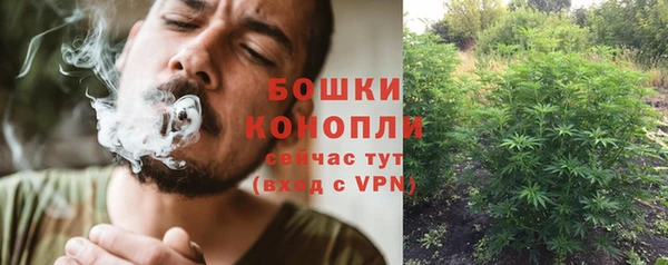 сатива Верхнеуральск