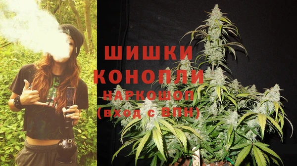 spice Верхний Тагил